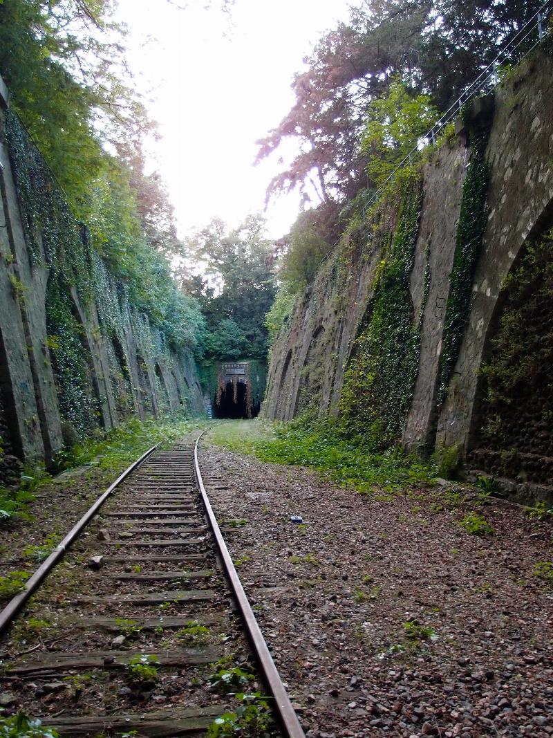 Passionate miniature painters enjoying the benefits of their hobby, surrounded by their creations